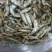 烘干小白肖油炸白肖好吃不上火健康食品
