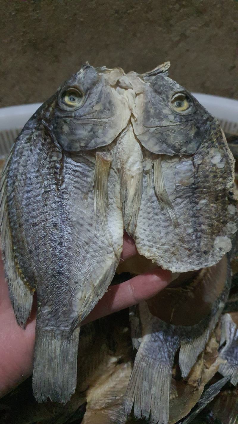 烘干小白肖油炸白肖好吃不上火健康食品