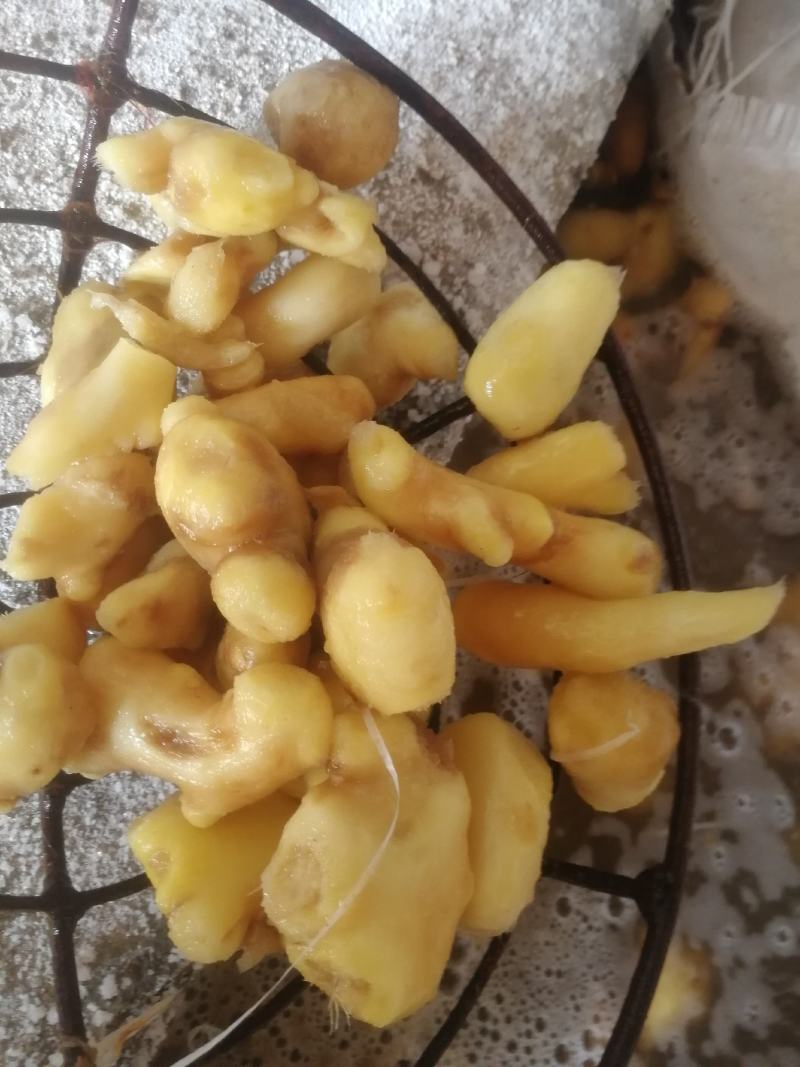 腌渍生姜，嫩姜，子姜，姜芽