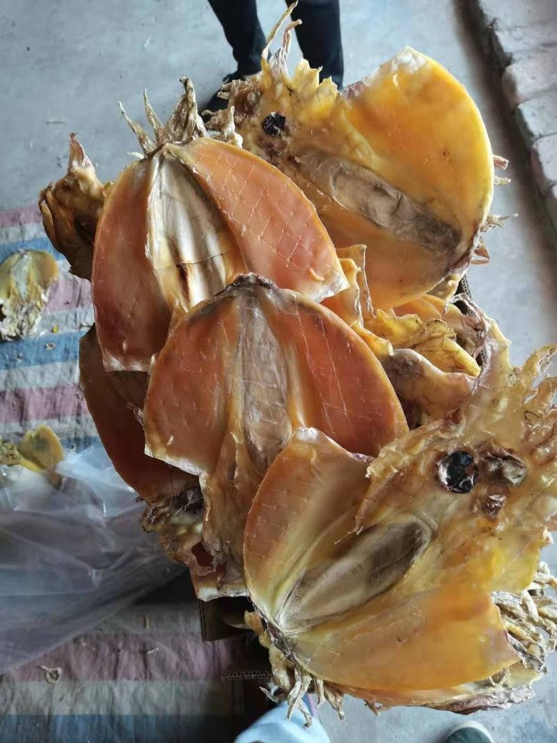 北海墨鱼干船