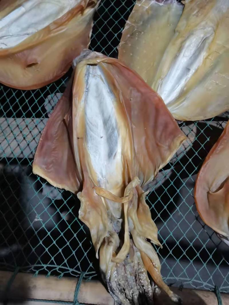 北海墨鱼干船