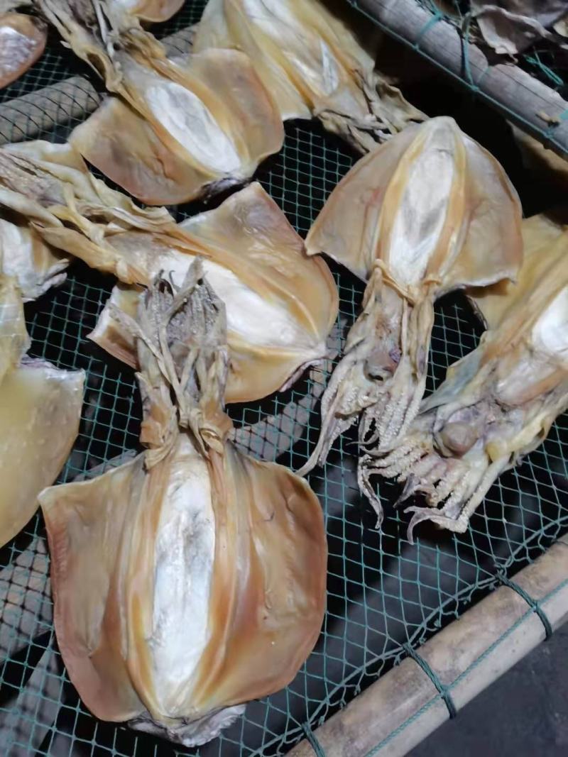 北海墨鱼干船