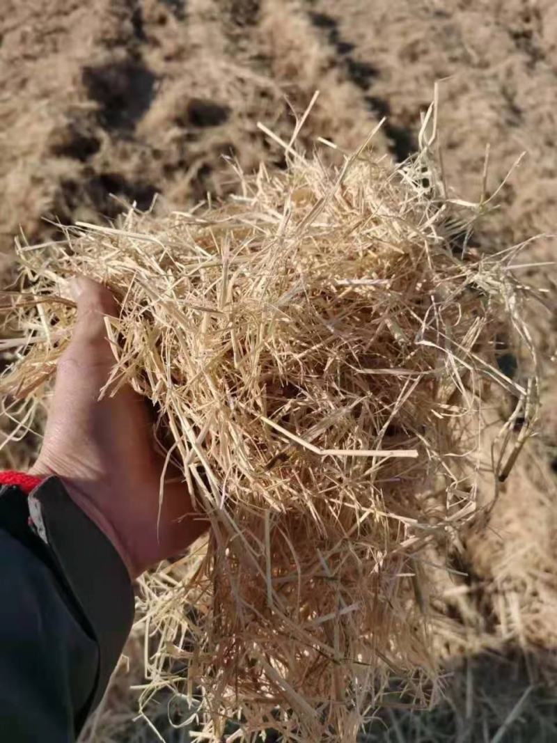 整根防沙治土稻草细柔打包稻壳牛羊饲料