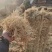 整根防沙治土稻草细柔打包稻壳牛羊饲料
