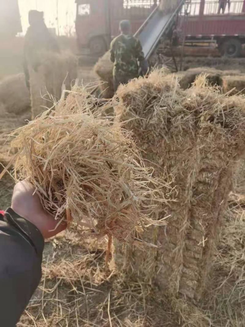整根防沙治土稻草细柔打包稻壳牛羊饲料