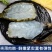 黑虎虾活冻黑虎虾肉质紧实鲜甜美味店长推荐