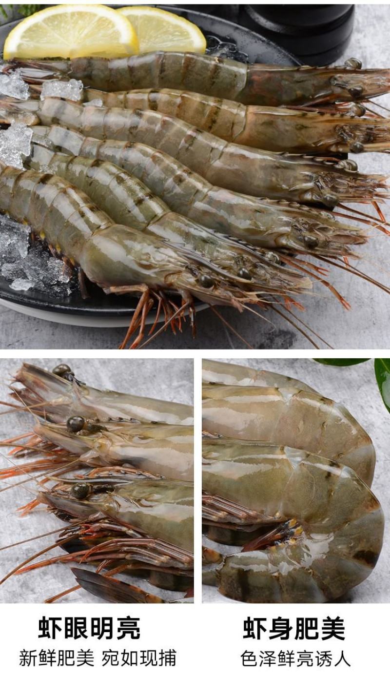 黑虎虾活冻黑虎虾肉质紧实鲜甜美味店长推荐