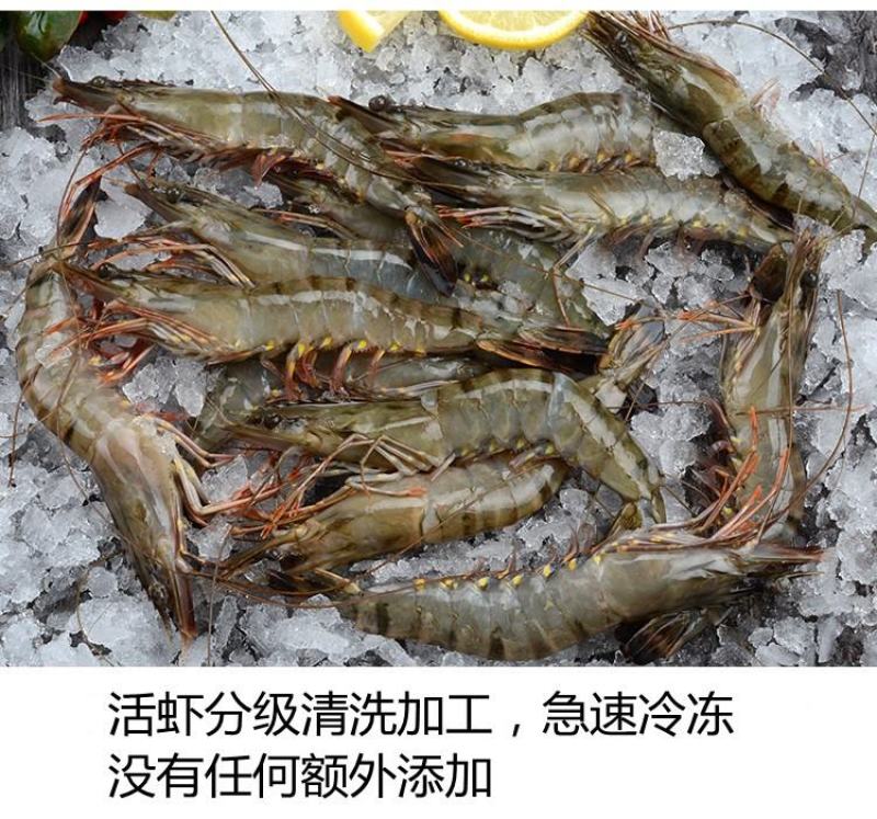 黑虎虾活冻黑虎虾肉质紧实鲜甜美味店长推荐
