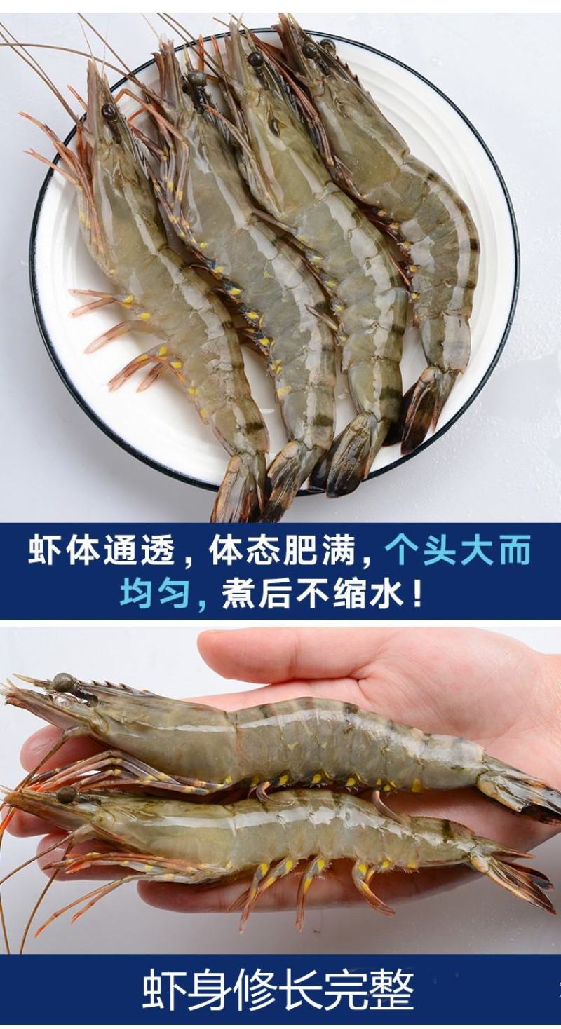 黑虎虾活冻黑虎虾肉质紧实鲜甜美味店长推荐