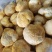 猴头菇大量批发欢迎新老客户选购量多从优，长期供应
