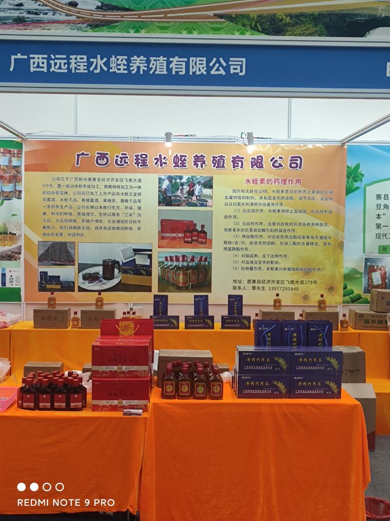 鹿帅仁牌黄精植物草本营养冲泡茶