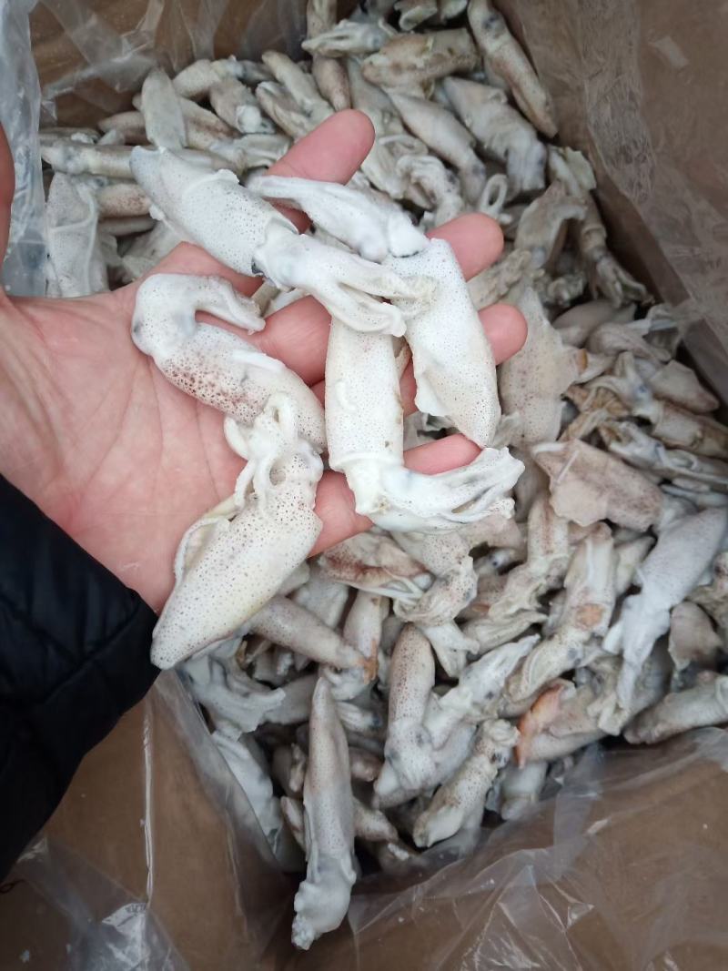 干冰单冻小海兔一件净重8斤质量保证价格优惠
