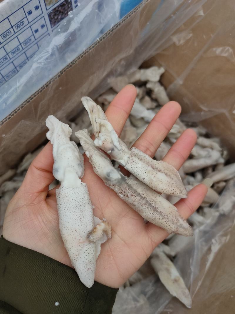 干冰单冻小海兔一件净重8斤质量保证价格优惠
