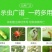 中科5%阿维菌素特含透皮素1000ml200毫升杀虫剂