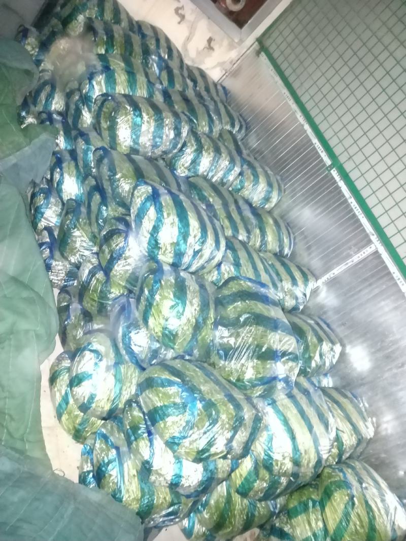 黎蒿芦蒿批发配送