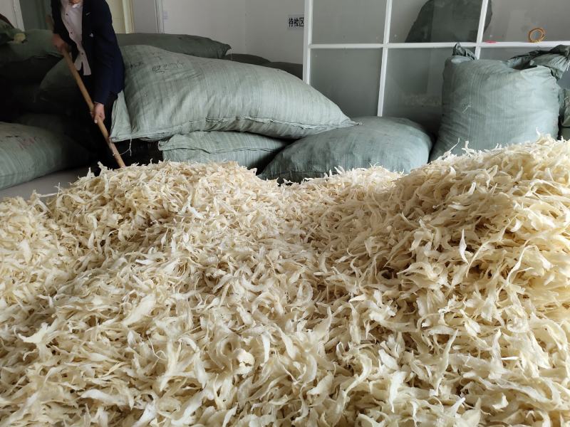 批发越南鱼胶淡水花胶鸡佛跳墙鱼胶罐头原材料巴沙鱼胶小金龙