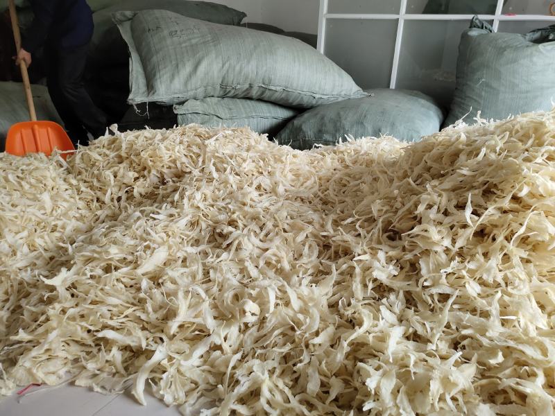 批发越南鱼胶淡水花胶鸡佛跳墙鱼胶罐头原材料巴沙鱼胶小金龙