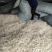 批发越南鱼胶淡水花胶鸡佛跳墙鱼胶罐头原材料巴沙鱼胶小金龙
