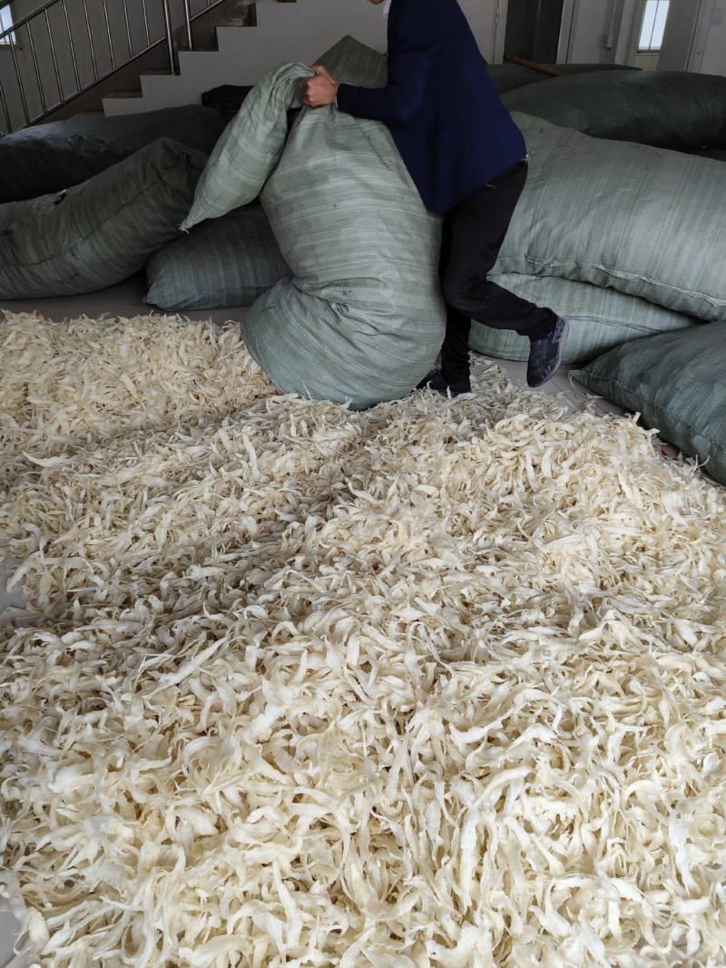 批发越南鱼胶淡水花胶鸡佛跳墙鱼胶罐头原材料巴沙鱼胶小金龙