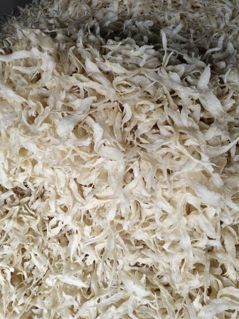 批发越南鱼胶淡水花胶鸡佛跳墙鱼胶罐头原材料巴沙鱼胶小金龙