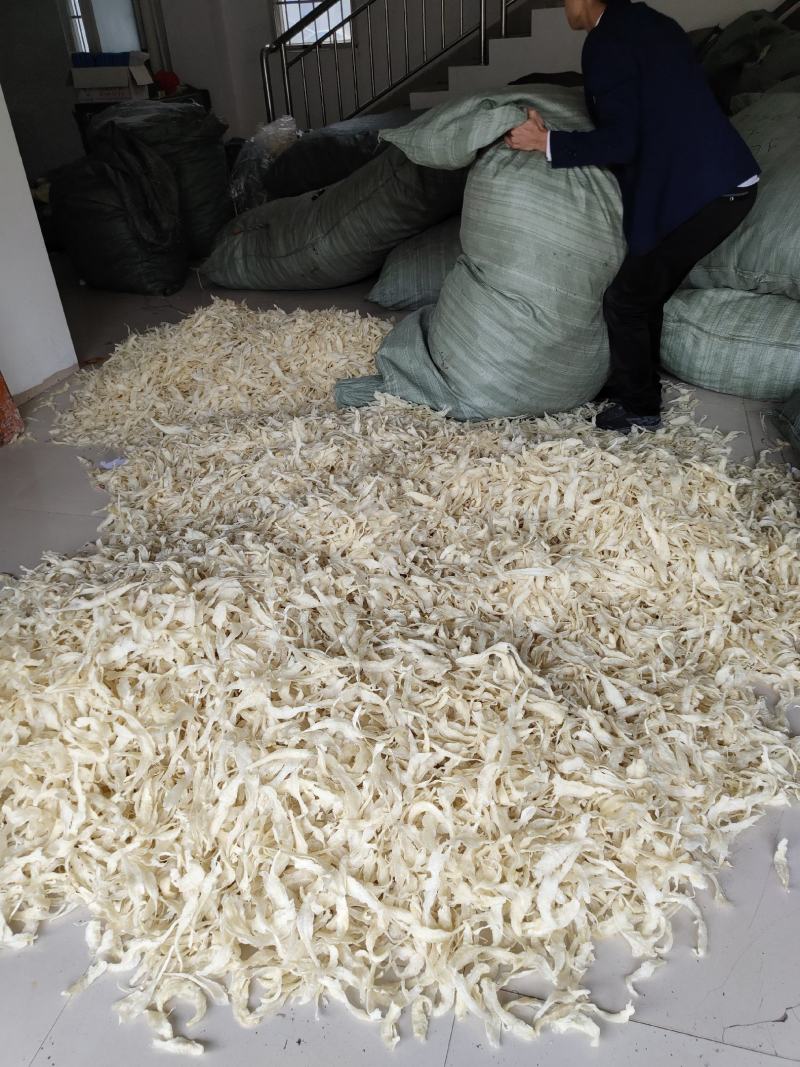 批发越南鱼胶淡水花胶鸡佛跳墙鱼胶罐头原材料巴沙鱼胶小金龙