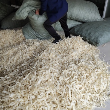 批发越南鱼胶淡水花胶鸡佛跳墙鱼胶罐头原材料巴沙鱼胶小金龙
