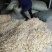 批发越南鱼胶淡水花胶鸡佛跳墙鱼胶罐头原材料巴沙鱼胶小金龙