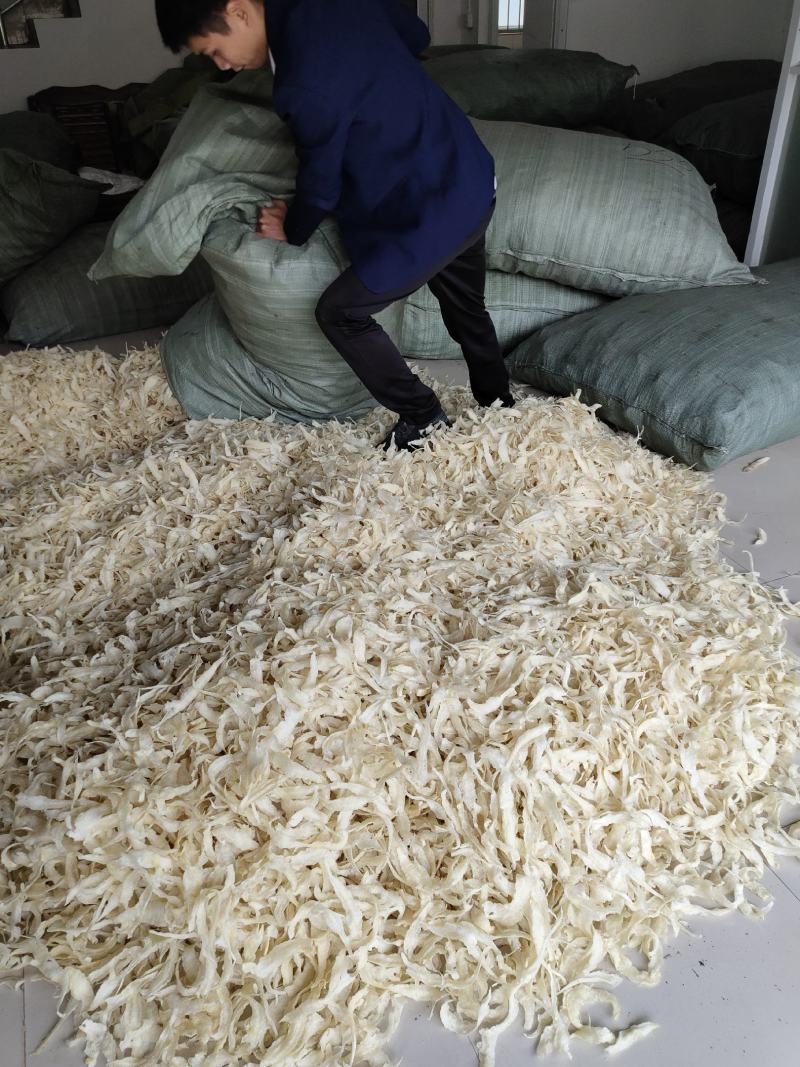 批发越南鱼胶淡水花胶鸡佛跳墙鱼胶罐头原材料巴沙鱼胶小金龙