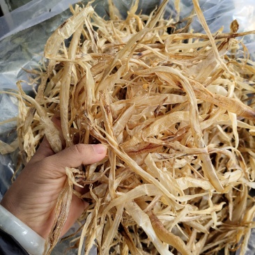 渔民自晒一手批发花胶鱼胶鳝肚小号鳗鱼肚北海海鲜干货