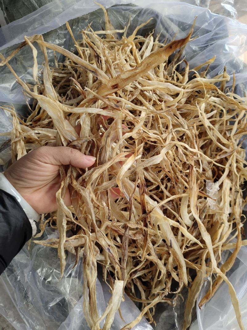 渔民自晒一手批发花胶鱼胶鳝肚小号鳗鱼肚北海海鲜干货