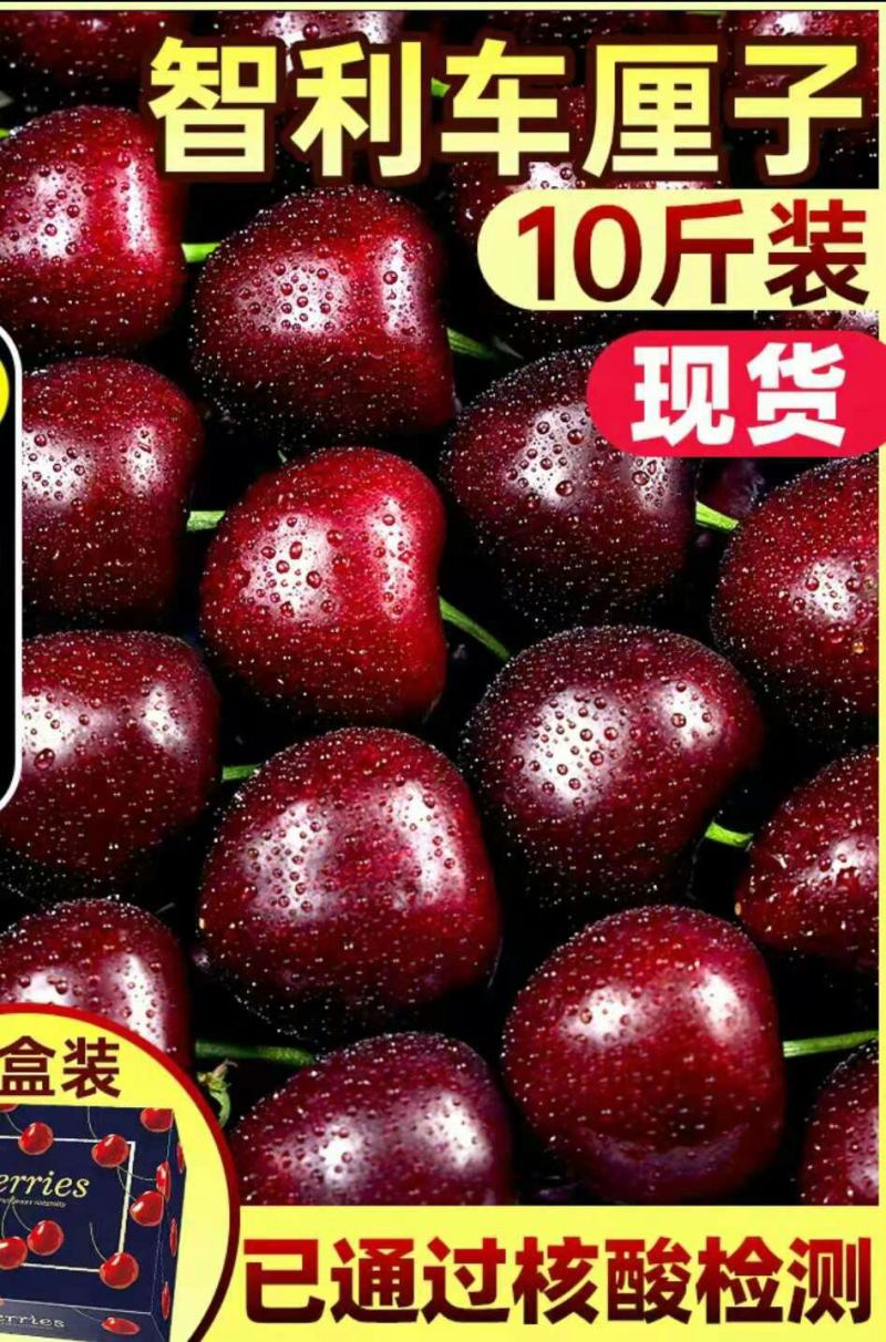 批发【车厘子】新鲜一箱5-10斤装整箱批发一手货源提供