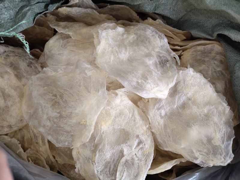 巴沙鱼胶片