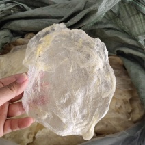 巴沙鱼胶片