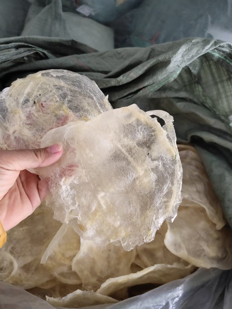 巴沙鱼胶片