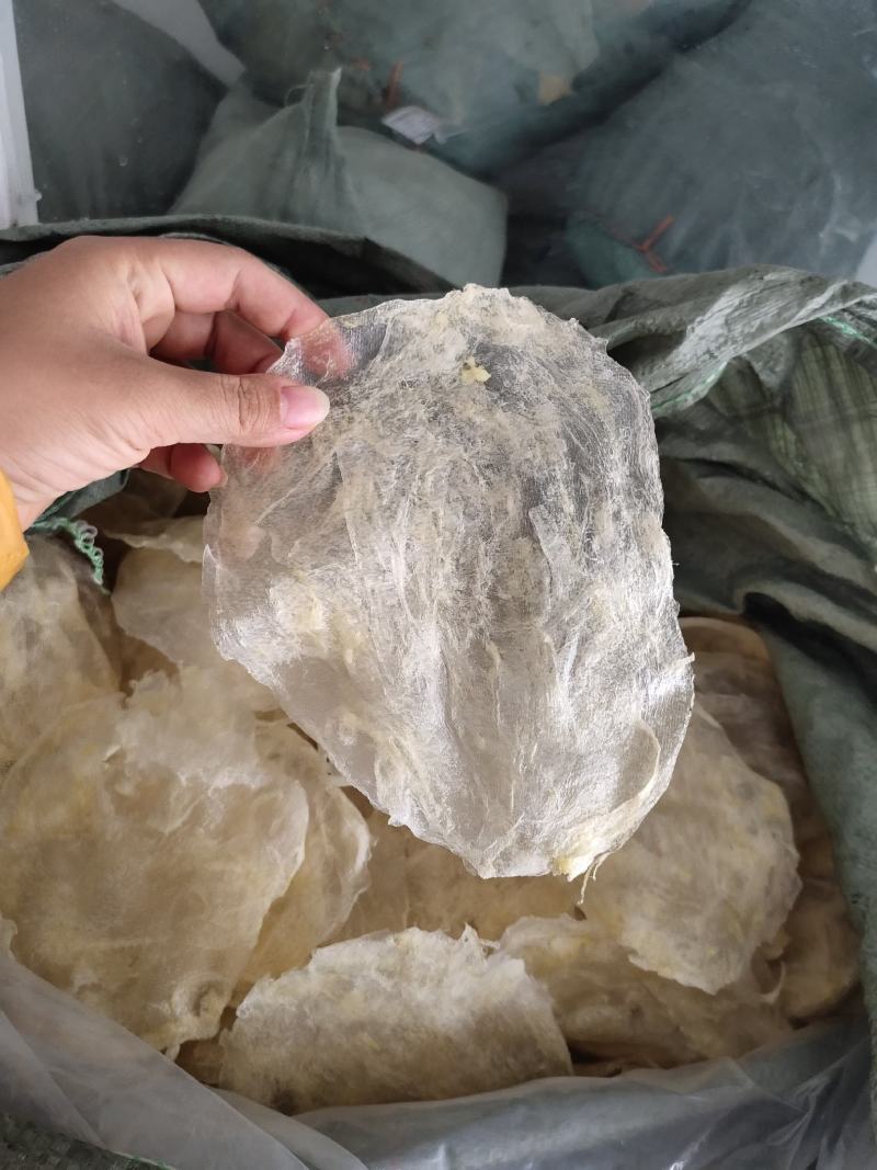 巴沙鱼胶片