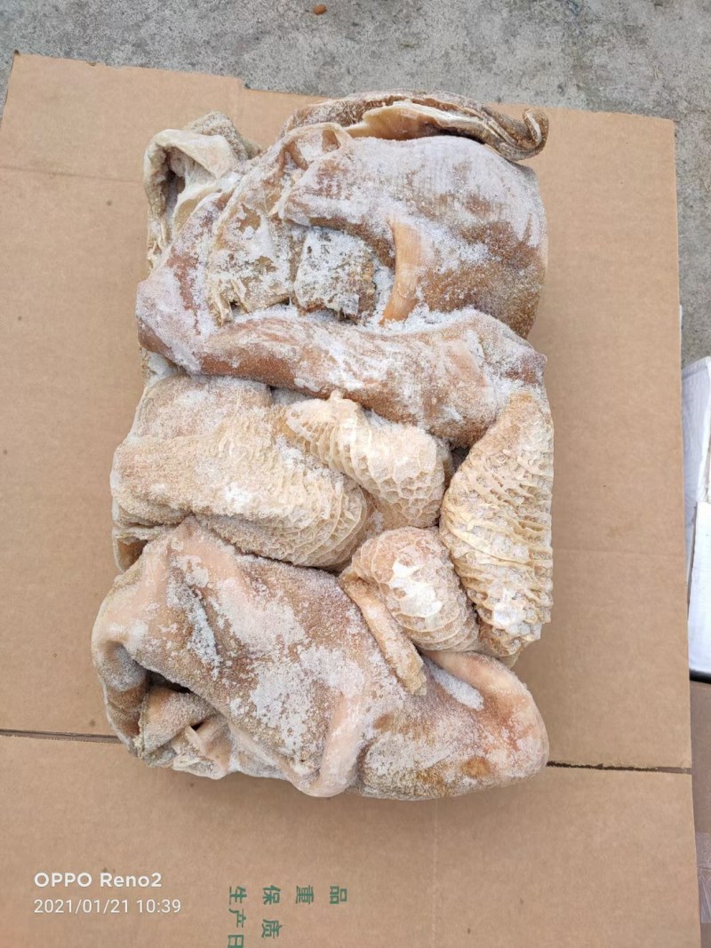 优质熟牛肚，出成高质量好，