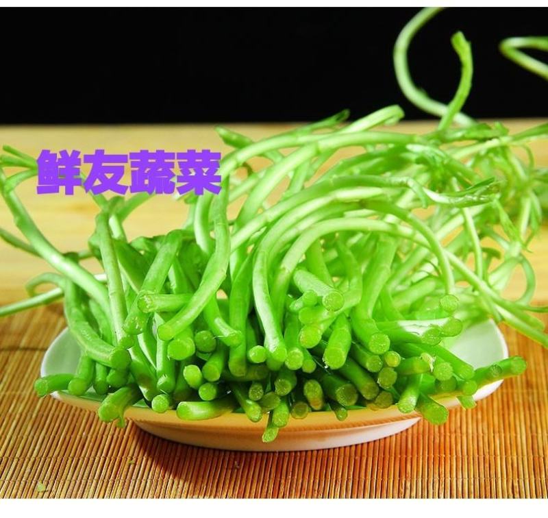 江苏泗阳芦蒿生种植芦蒿芦蒿生产基地芦蒿篱蒿新鲜水嫩