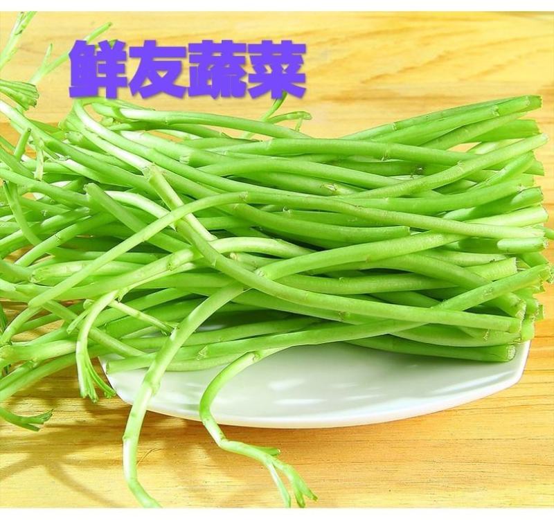 江苏泗阳芦蒿生种植芦蒿芦蒿生产基地芦蒿篱蒿新鲜水嫩