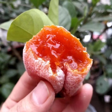 富平县特产柿饼，优先柿饼，批发价