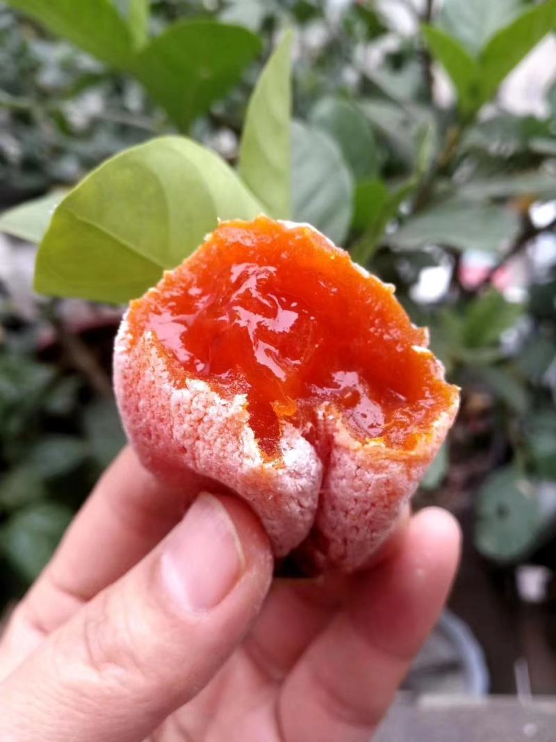 富平县特产柿饼，优先柿饼，批发价