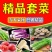 寿光蔬菜精品套菜礼盒春节蔬菜礼盒蔬菜大礼包批发
