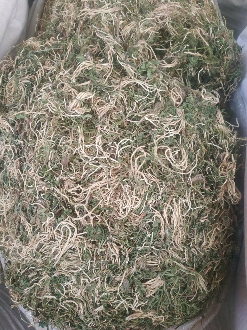 半边莲～水洗货新货～量大优惠～1公斤起售～欢迎咨询采购