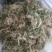 半边莲～水洗货新货～量大优惠～1公斤起售～欢迎咨询采购