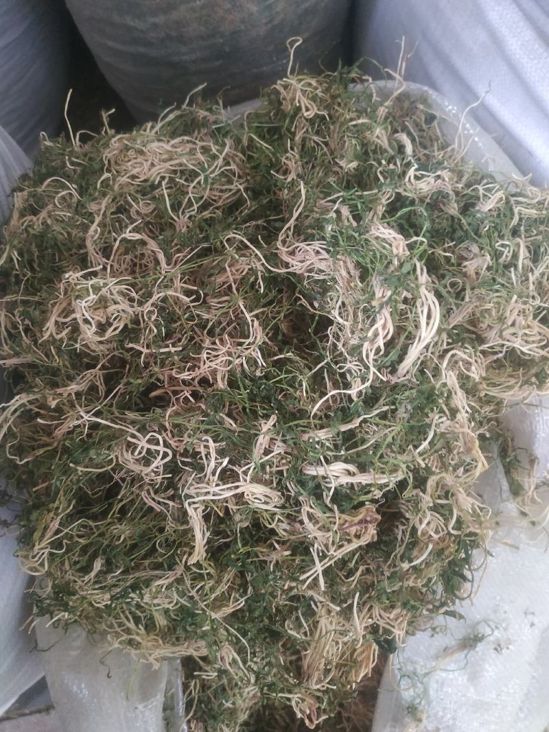 半边莲～水洗货新货～量大优惠～1公斤起售～欢迎咨询采购