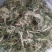 半边莲～水洗货新货～量大优惠～1公斤起售～欢迎咨询采购
