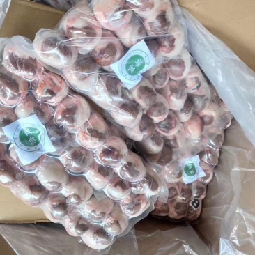 🔥精品包油羊腰！全部现货！！产地直销全国发货✅🔥