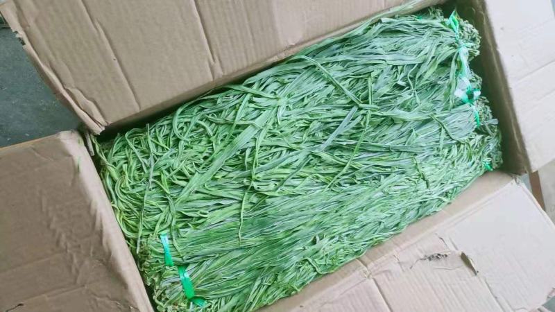 贡菜，响菜，餐饮火锅食材，规格可定制