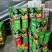 纽荷尔脐橙产地直销现采现摘汁多纯甜现货供店欢迎选购