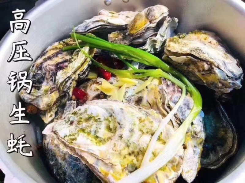 生蚝批发全壳鲜活生蚝半壳生蚝烧烤牡蛎海蛎子生蚝肉