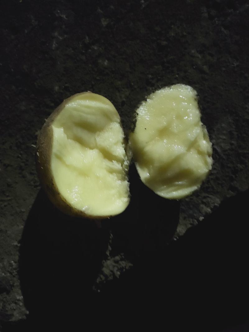 是您想要货源，兴佳，可水洗，干洗完货更是美丽的，诚实守信